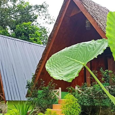 Green Forest Tangkahan Экстерьер фото