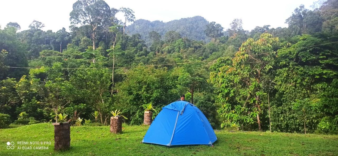 Green Forest Tangkahan Экстерьер фото