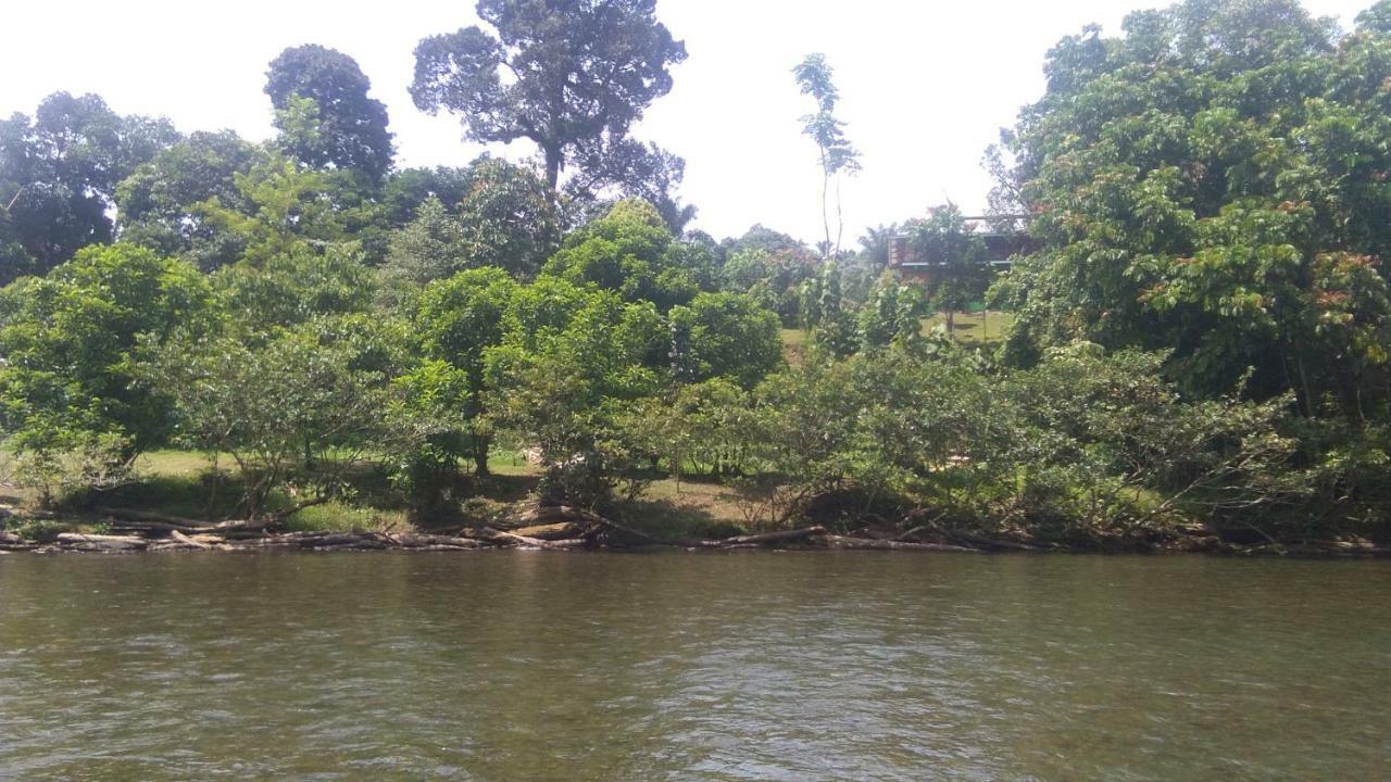 Green Forest Tangkahan Экстерьер фото