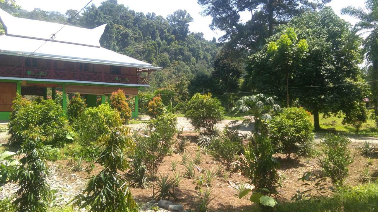 Green Forest Tangkahan Экстерьер фото