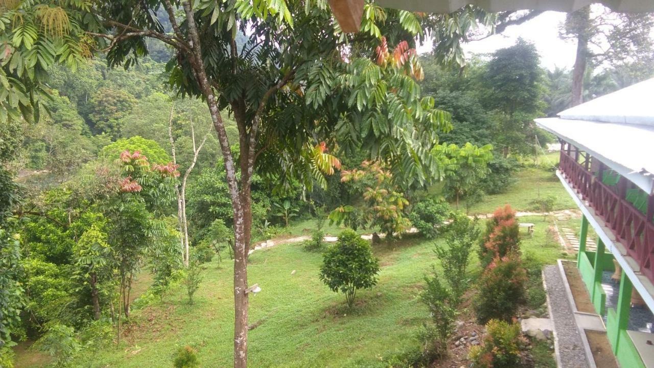 Green Forest Tangkahan Экстерьер фото