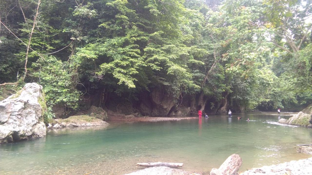Green Forest Tangkahan Экстерьер фото